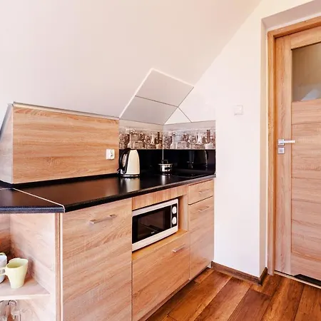 Sun&snow Leśny Dom Apartament