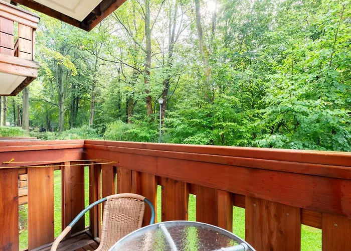 Lesny Dom, Sun & Snow